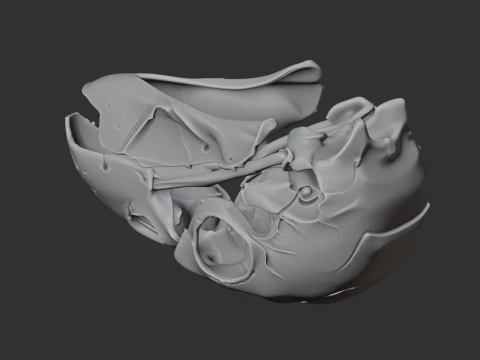 Kaka Skull 3D Model