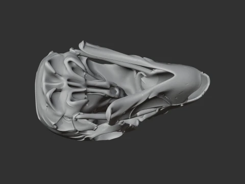 Kaka Skull 3D Model