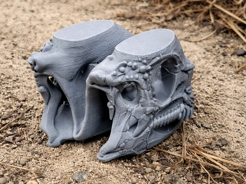 Leptailurus fossil Skull Modelo 3D