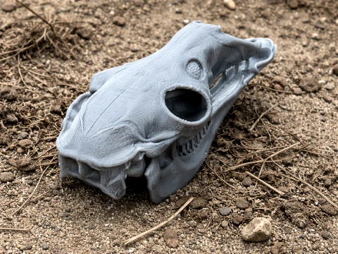 Llama Skull 3D Modell