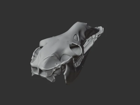 Llama Skull 3D Model