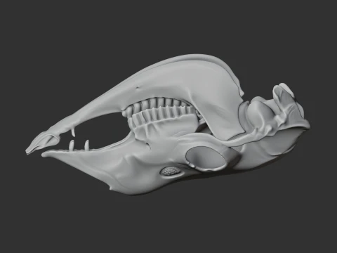 Llama Skull 3D Model