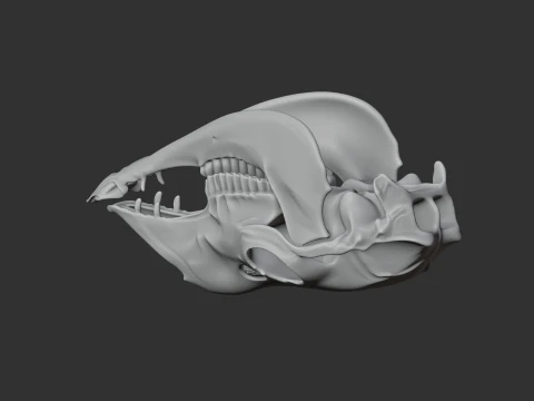 Llama Skull 3D Model