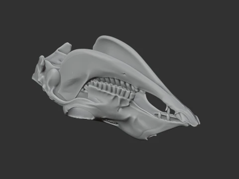 Llama Skull 3D Model