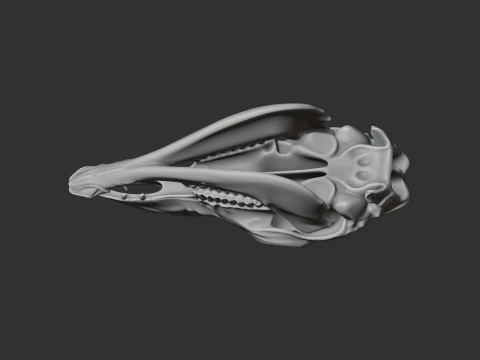 Llama Skull 3D Model