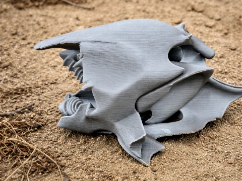 Lungfish Australian Skull 3D Model