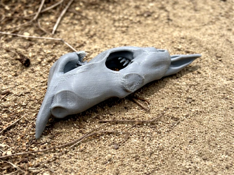 Mako Shark Skull 3D Model