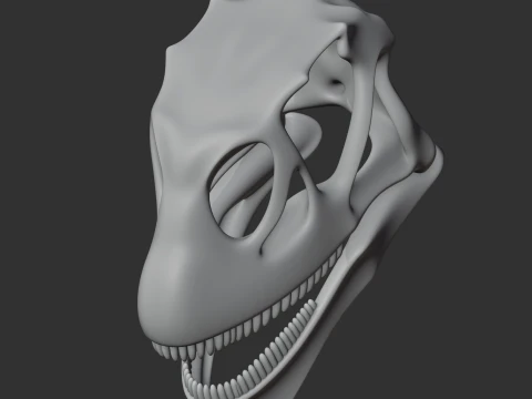 Mamenchisaurus Skull 3D Model