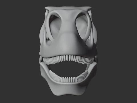 Mamenchisaurus Skull 3D Model
