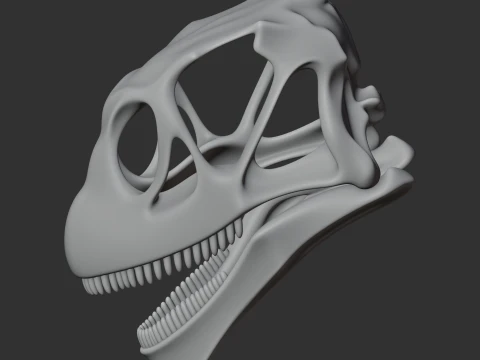 Mamenchisaurus Skull 3D Model