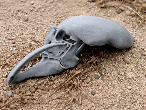 Mammoth Skull 3D Модель