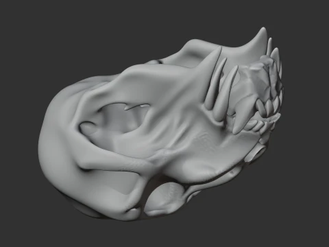 Mandrill Skull 3D Model