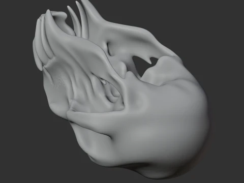 Mandrill Skull 3D Model