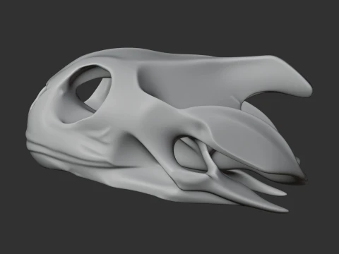 Map Turtle Skull 3D Model