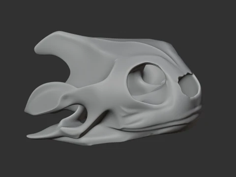 Map Turtle Skull 3D Model
