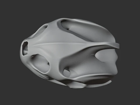 Map Turtle Skull 3D Model