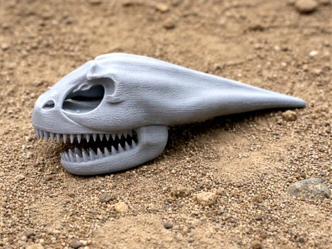 Maraapunisaurus Skull Modelo 3D
