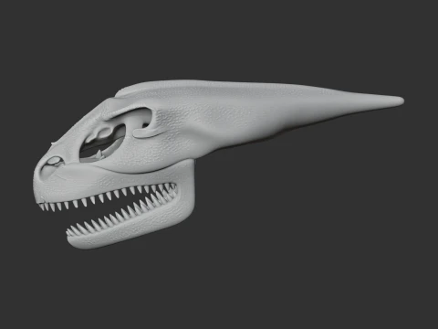 Maraapunisaurus Skull 3D Model