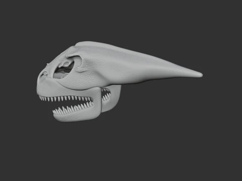 Maraapunisaurus Skull 3D Model