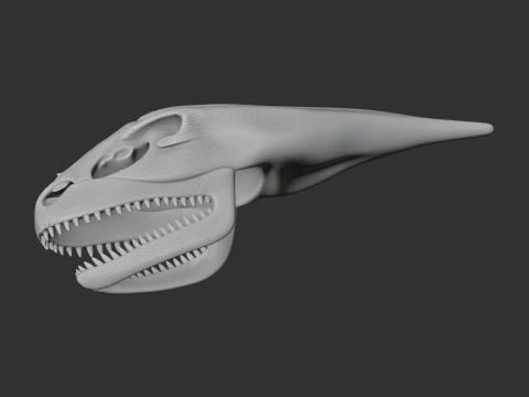 Maraapunisaurus Skull 3D Model