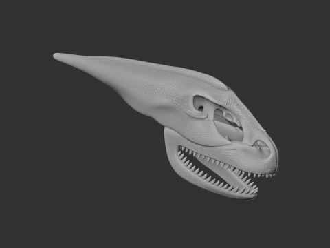Maraapunisaurus Skull 3D Model