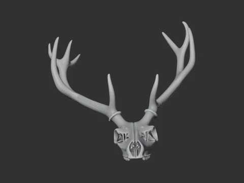 Marsh Deer Skull 3D Model