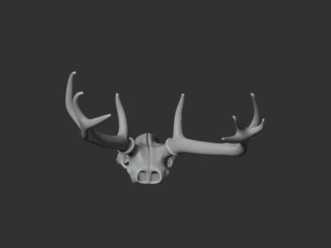 Marsh Deer Skull 3D Model