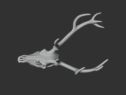 Marsh Deer Skull 3D Model