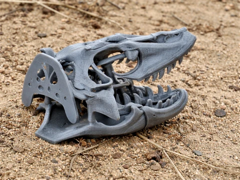 Megalania Skull 3D Модель