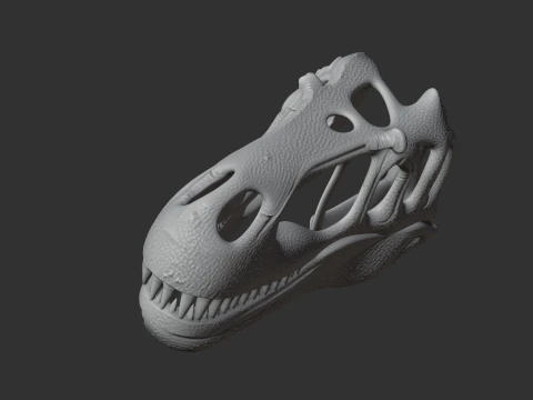 Megalosaurus Skull 3D Model