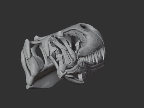 Megalosaurus Skull 3D Model