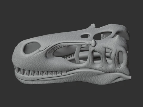 Megalosaurus Skull 3D Model
