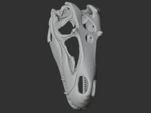Megalosaurus Skull 3D Model
