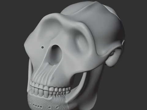Meganthropus Skull 3D Model