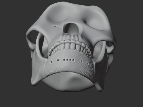 Meganthropus Skull 3D Model