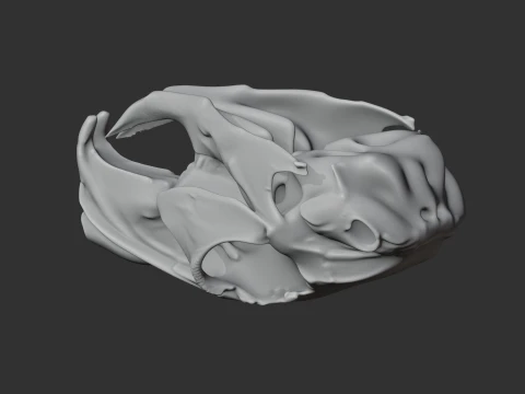 Mountain Viscacha Skull 3D Model
