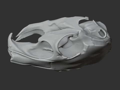 Mountain Viscacha Skull 3D Model