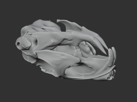 Mountain Viscacha Skull 3D Model