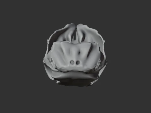 Mountain Viscacha Skull 3D Model