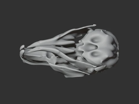 Mountain Viscacha Skull 3D Model