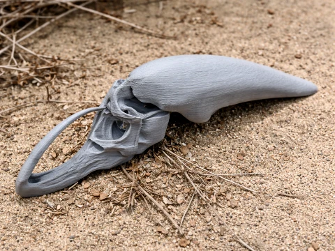 Moythomasia Skull 3D Modell