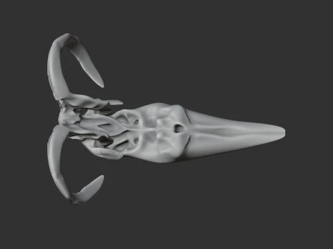 Moythomasia Skull 3D Model