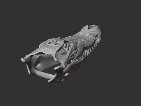Mugger Crocodile Skull 3D Model