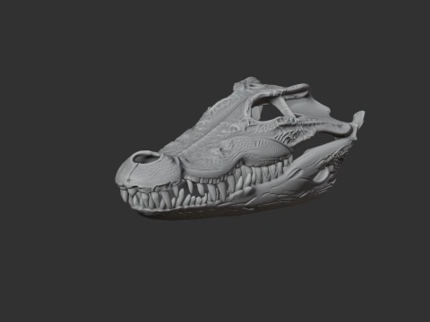 Mugger Crocodile Skull 3D Model