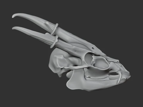 Muntjac Skull 3D Model