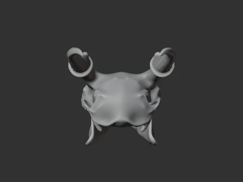 Muntjac Skull 3D Model