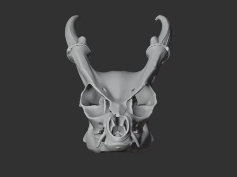 Muntjac Skull 3D Model