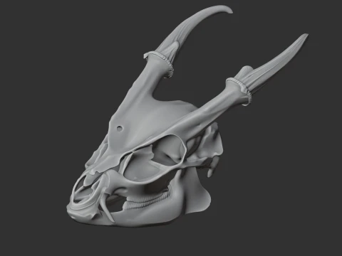 Muntjac Skull 3D Model