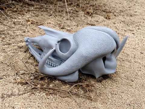 Musk Ox Skull Modello 3D