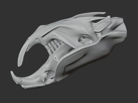 Muskrat Skull 3D Model